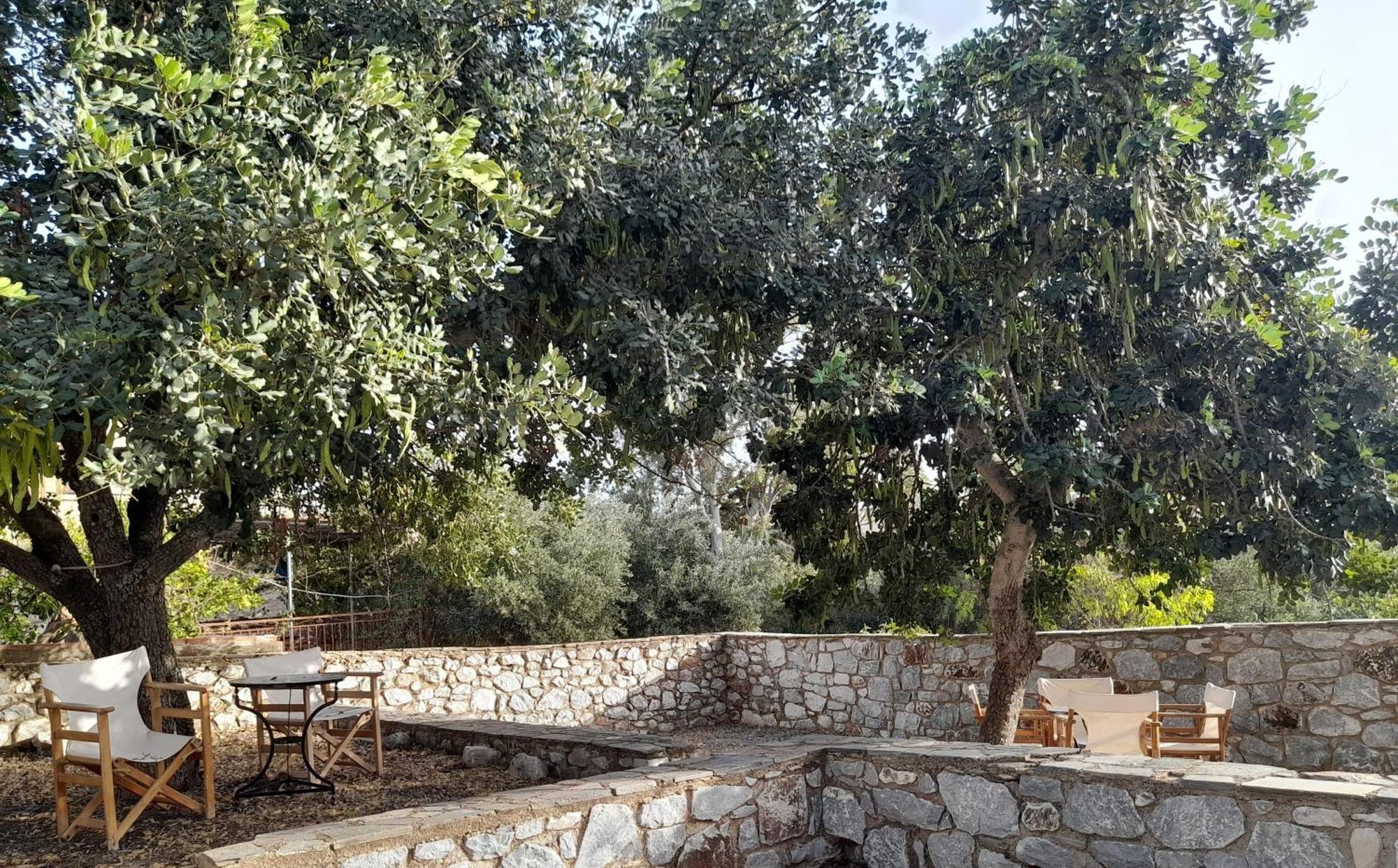 The Two Carob Trees, Traditional Stonehouse, Nikandri, Pirgos Diros Lägenhet Lefkias Exteriör bild